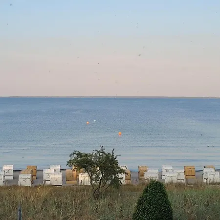 Strandallee.Net