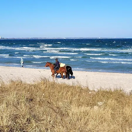 Διαμέρισμα Strandallee.Net